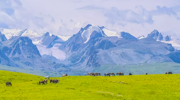 极致之旅 | 跃马天山西麓 游牧乌孙古道